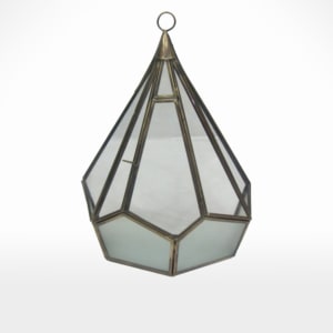 Terrarium by Noah's Ark Exports