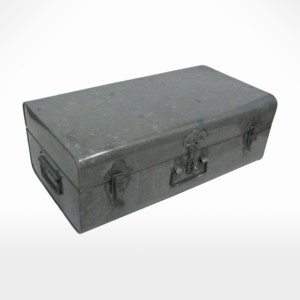 Trunk by Noah's Ark Exports