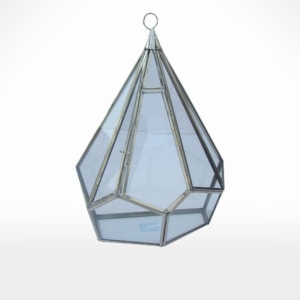 Terrarium by Noah's Ark Exports